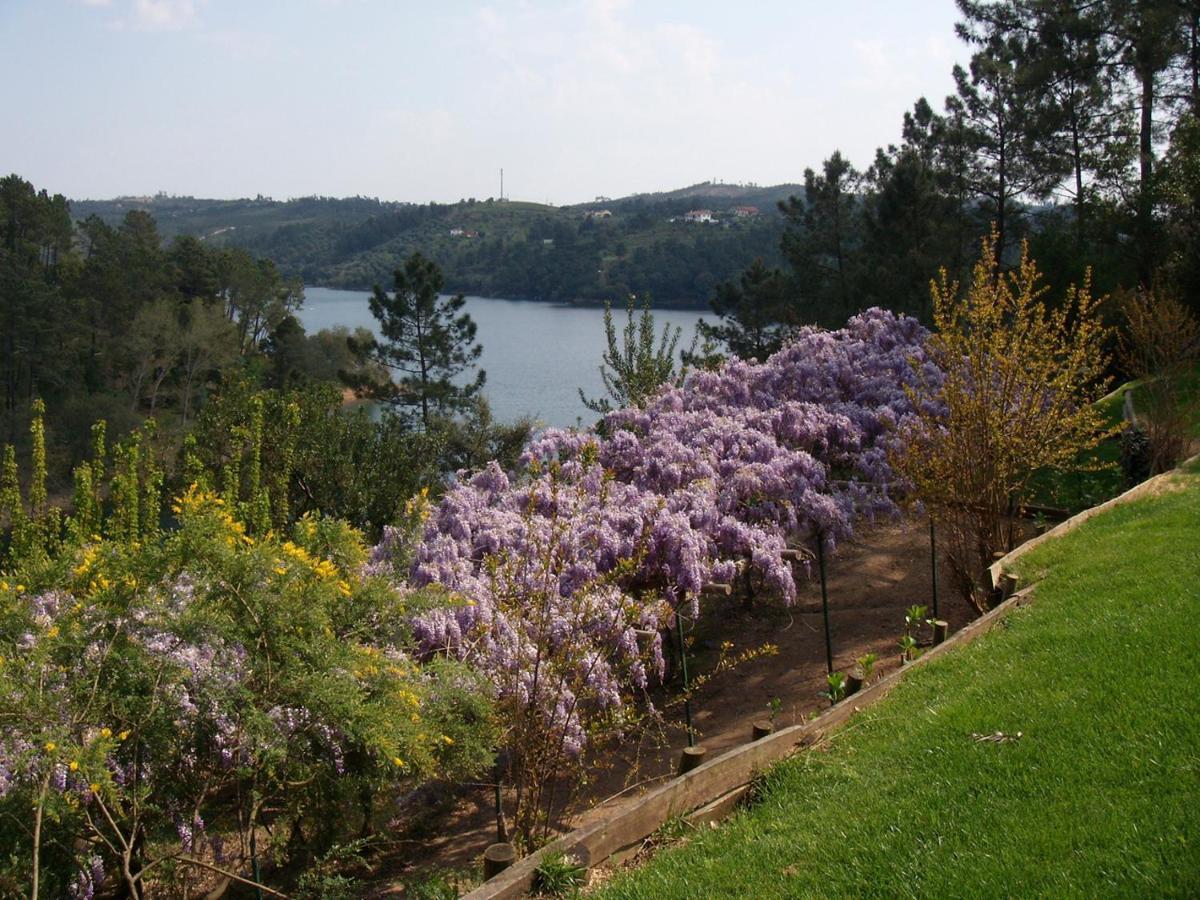 Willa Quinta Do Troviscal Castelo do Bode Zewnętrze zdjęcie
