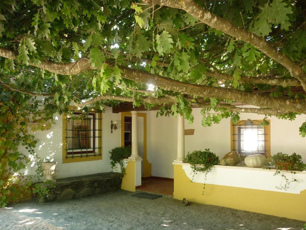 Willa Quinta Do Troviscal Castelo do Bode Zewnętrze zdjęcie